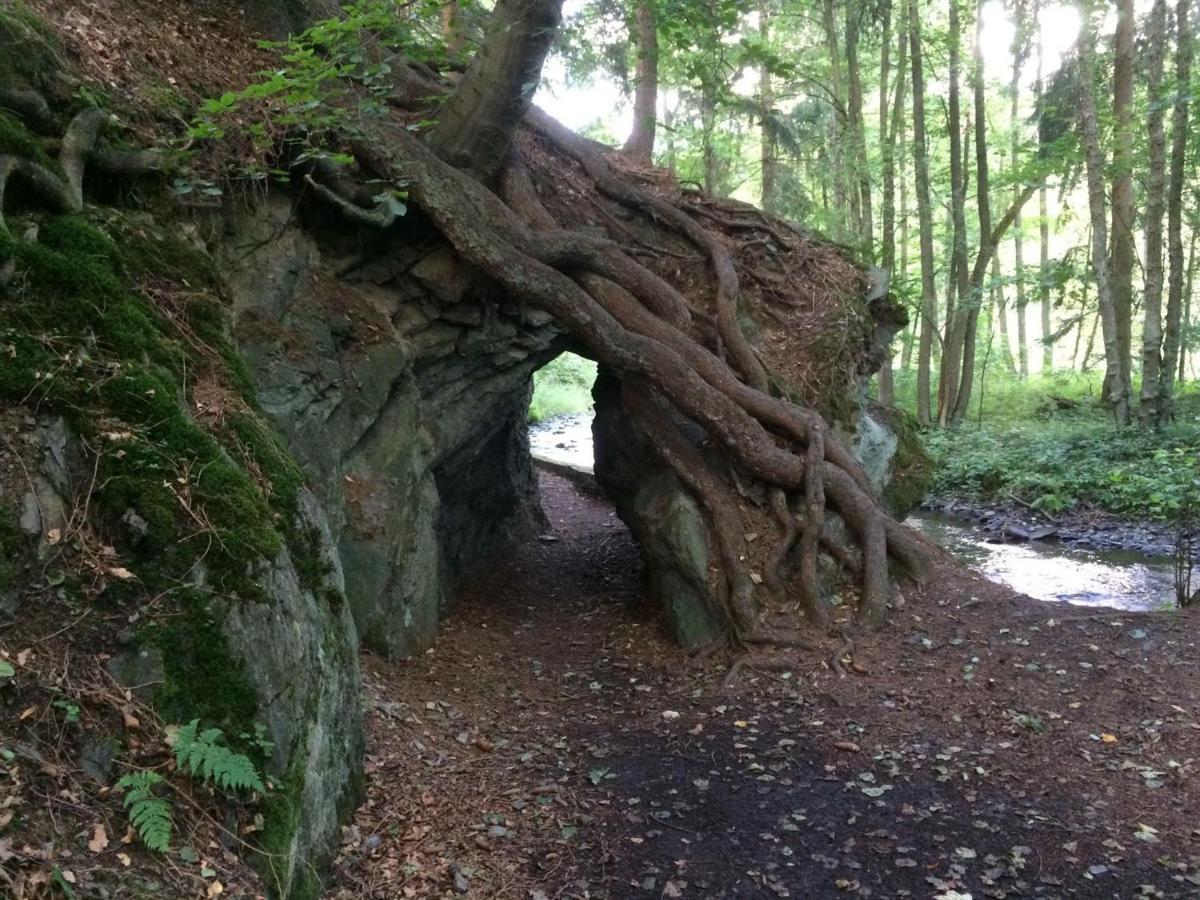 Alter Kornspeicher Ermsleben Bagian luar foto