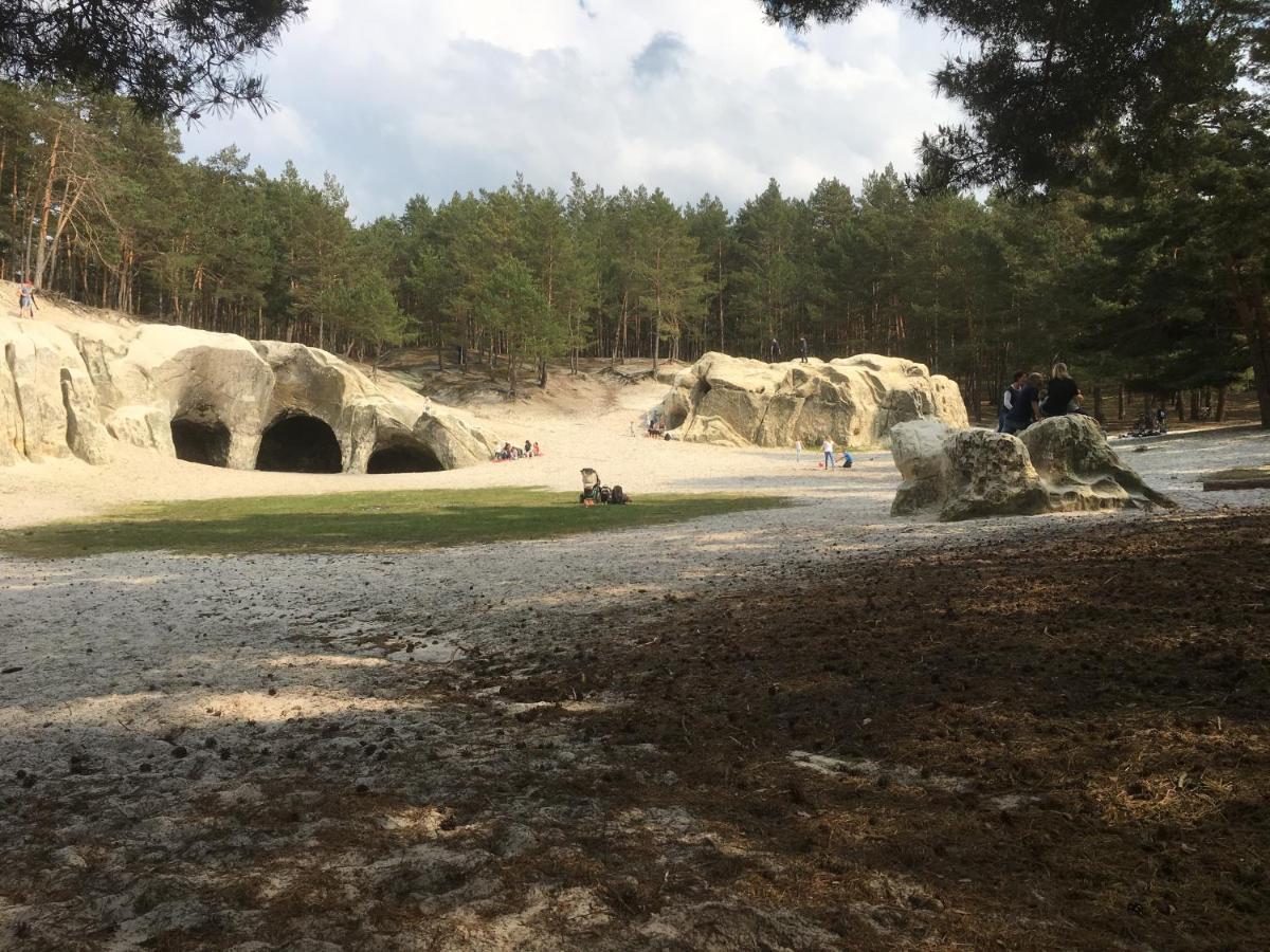 Alter Kornspeicher Ermsleben Bagian luar foto