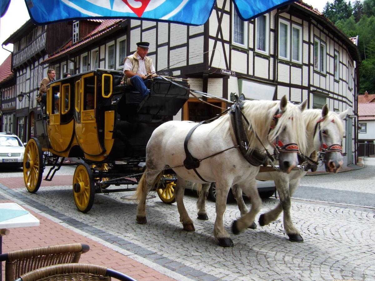 Alter Kornspeicher Ermsleben Bagian luar foto