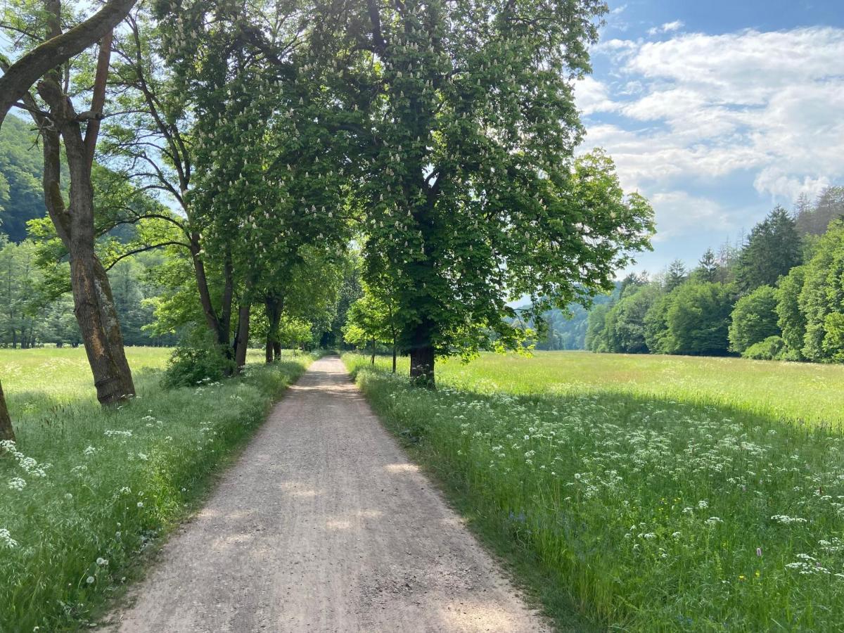 Alter Kornspeicher Ermsleben Bagian luar foto